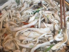 -芭夯兔(人和店)