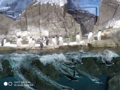 -成都浩海立方海洋公园