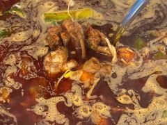 -中和远东火锅兔(老店)