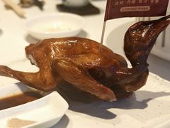 -侨美食家·41年地道粤菜(珠江新城店)