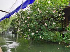 -西湖游船