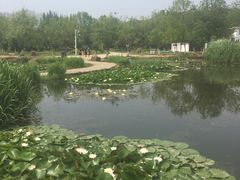 -前关湿地公园