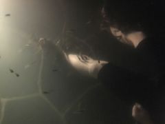 -和顺柏联温泉
