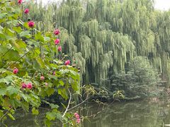 -月湖风景区