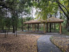 -溱湖国家湿地公园