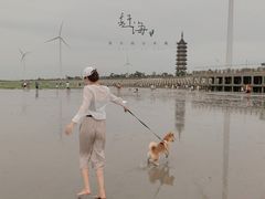-奉贤海滩