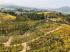 -紫马岭公园