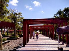 -春花秋色城市公园