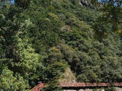 -龙湾潭国家森林公园