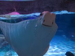 -沈阳海洋探索中心