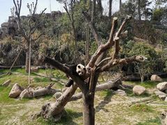 -宁波野生动物园