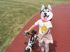 -春花秋色城市公园