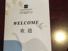 -常州环球恐龙城维景国际大酒店