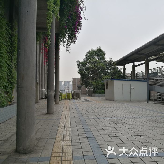 大渡口-地铁站