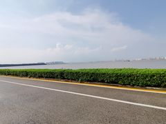 -海鸥岛