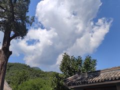 -大觉寺-停车场