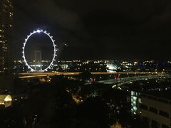 -新加坡文华东方酒店