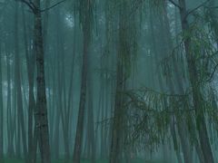 -硗碛藏寨·神木垒景区