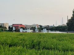 -青礁慈济宫