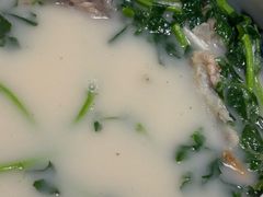 -港升鱼师傅·中山脆肉鲩