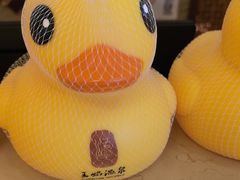 -苏州湾·王焰温泉