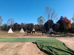 -北京西山国家森林公园