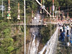 -九龙江国家森林公园