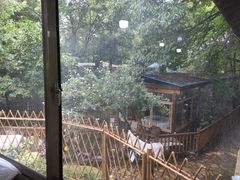 -张鸟园农家乐(张鸟园店)