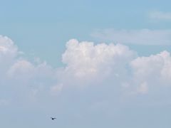 -丁香湖公园