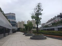 旅游集散中心(万体站)-上海旅游集散中心(万体站)