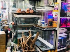 -万商花鸟市场
