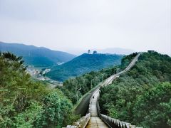 -黄贤森林公园