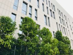 -深圳市宝安区妇幼保健院