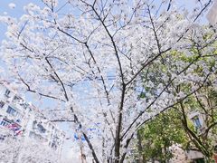 -永乐路-路侧停车场