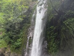 -莫里热带雨林景区