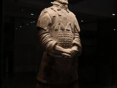 -秦始皇帝陵博物院(兵马俑)