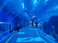 -成都浩海立方海洋公园