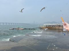-星海广场