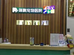 -瑞鹏宠物医院·骨科·猫科·内科(第一中心)