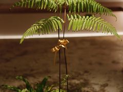-光作面包Voila Lumiere(中山店)