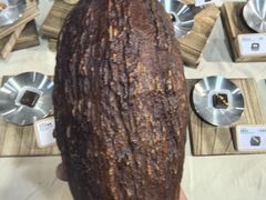 -上海跨国采购会展中心