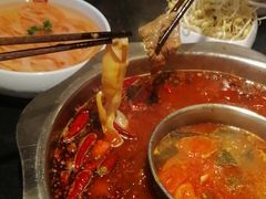 -一斗火锅·招财羊毛肚(北温泉九号店)