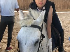 -松声马术俱乐部