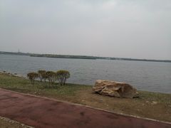 -丁香湖公园