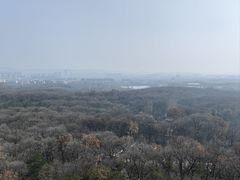 -灵谷景区