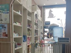 -米苏动物医院·犬猫专科·骨科外科内窥镜