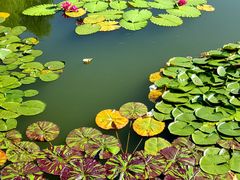 -国家植物园南园