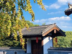 -大唐贡茶院