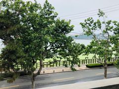 景观位-Vanilla Specialty Coffee(八大关店)