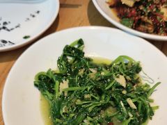 -滇铺子·云南特色菜·第九届野生菌美食节(东风东路c86店)